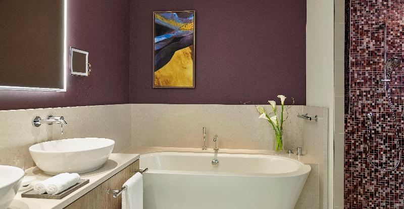 InterContinental Lyon - Hotel Dieu image