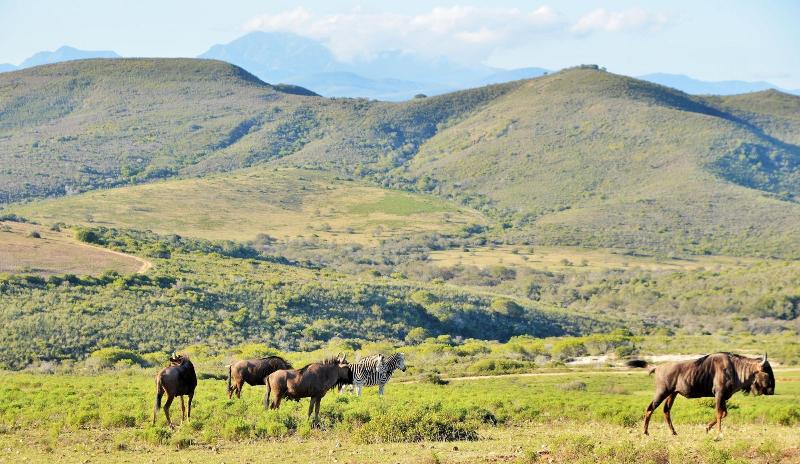 GARDEN ROUTE SAFARI CAMP image