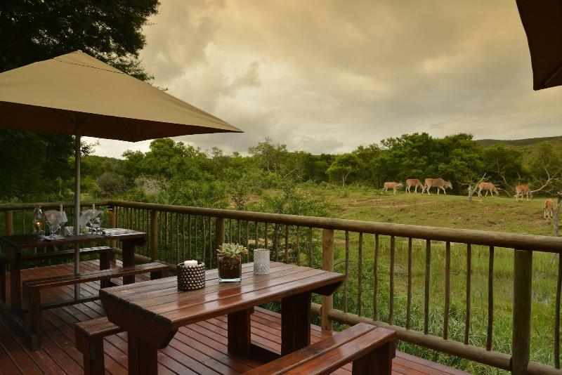 GARDEN ROUTE SAFARI CAMP image