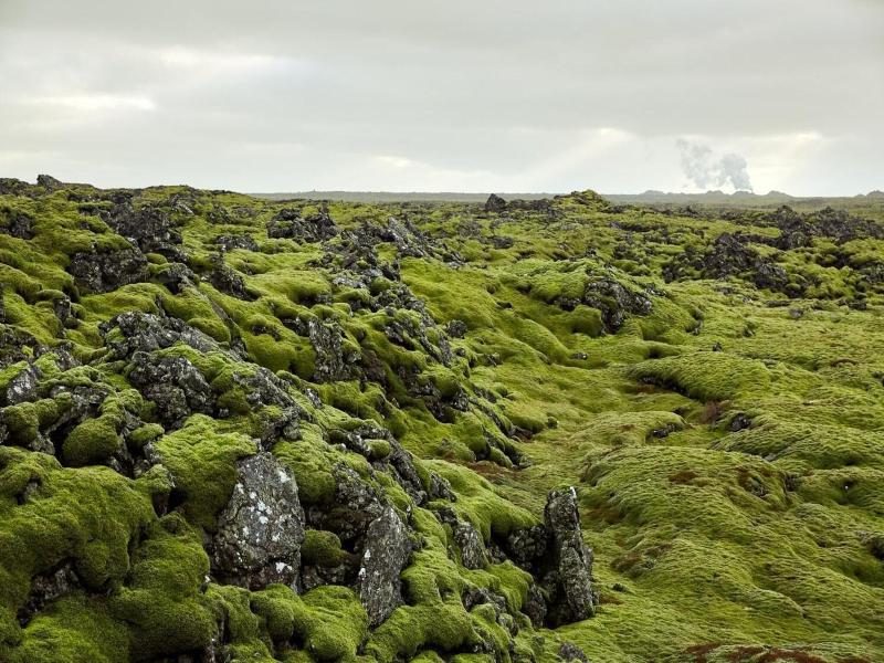 Geo Hotel Grindavik image