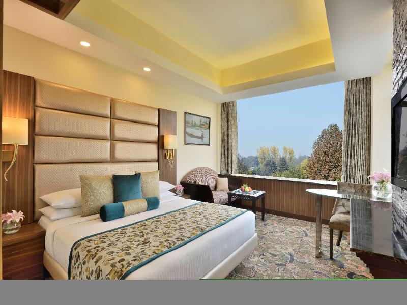 Radisson Srinagar image