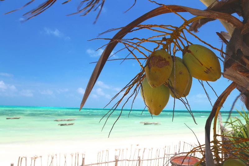 Asali Beach House image