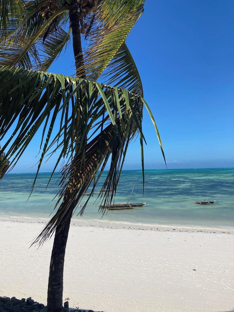 Asali Beach House image