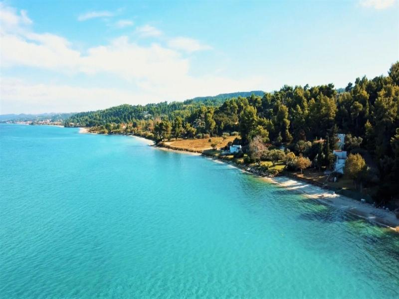 Avatel Eco Lodge