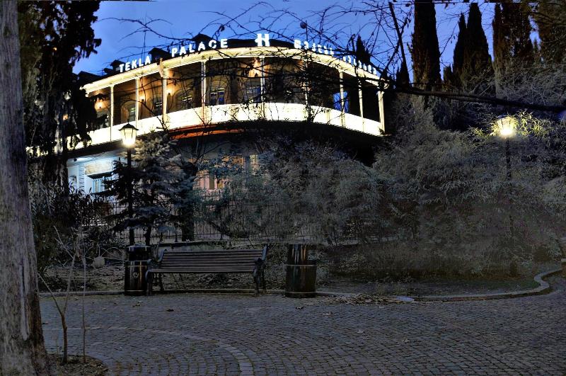 Tekla Palace image