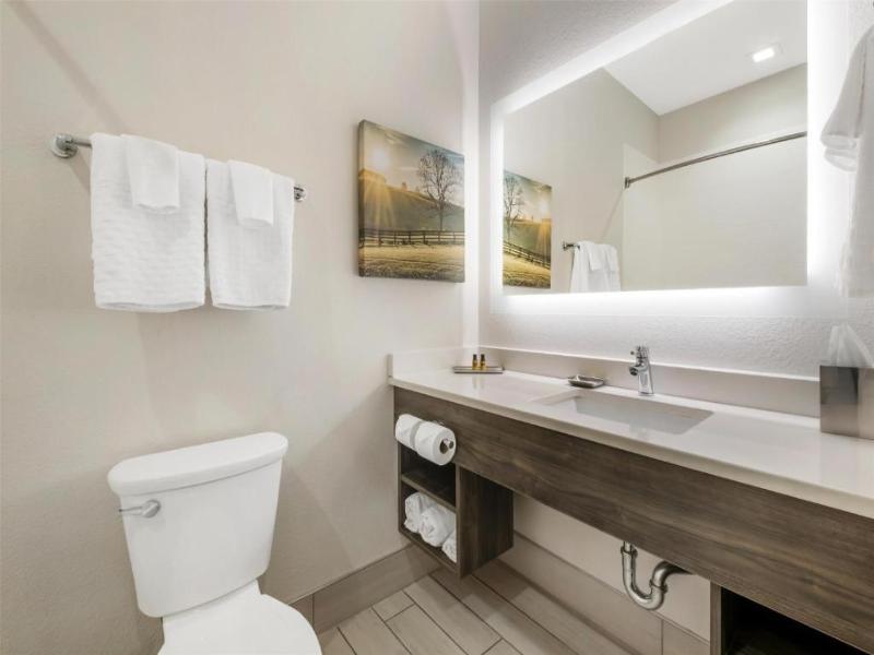 Best Western Plus Elizabethtown Inn & Suites image