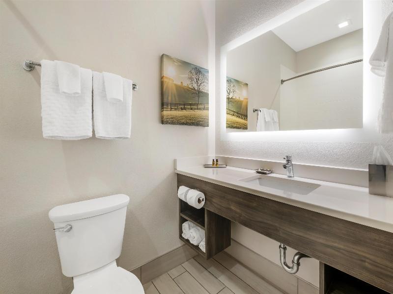 Best Western Plus Elizabethtown Inn & Suites image