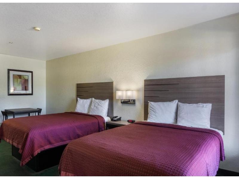 OYO Inn & Suites Medical Center San Antonio image