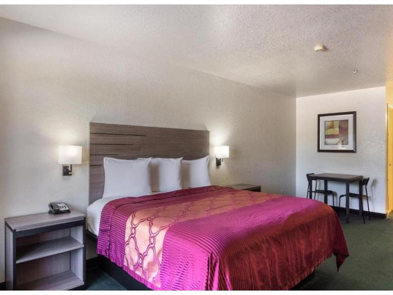 OYO Inn & Suites Medical Center San Antonio image