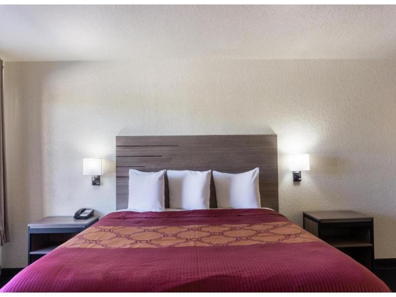 OYO Inn & Suites Medical Center San Antonio image