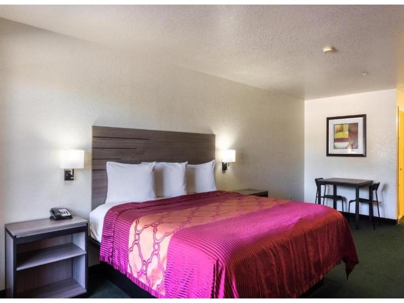 OYO Inn & Suites Medical Center San Antonio image
