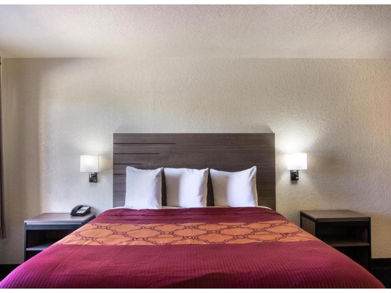 OYO Inn & Suites Medical Center San Antonio image