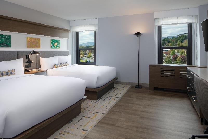 Hotel Indigo Chattanooga - Downtown By IHG image