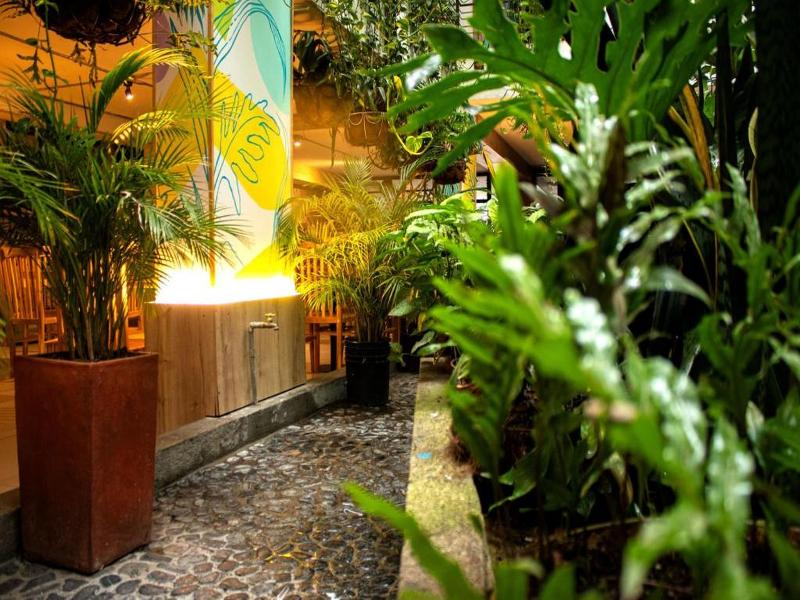HOTEL NATURAL MEDELLÍN 4
