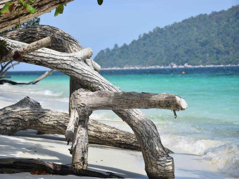 Akira Lipe Resort image
