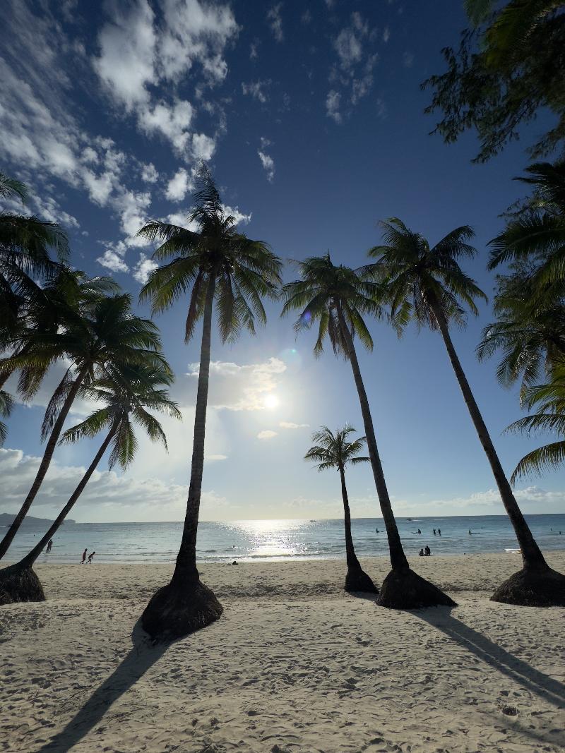 Wald's Place Boracay image