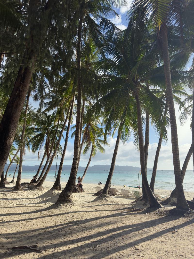 Wald's Place Boracay image