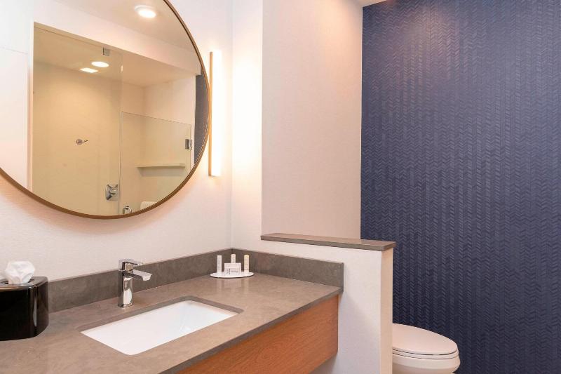 Fairfield Inn Suites Fair Oaks Farms image