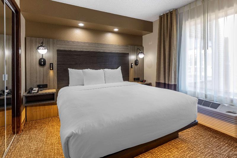 Comfort Inn & Suites North Dallas-Addison image