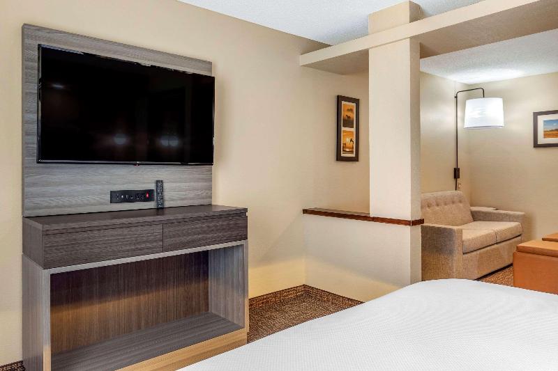 Comfort Inn & Suites North Dallas-Addison image