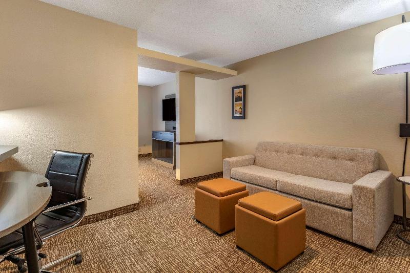Comfort Inn & Suites North Dallas-Addison image