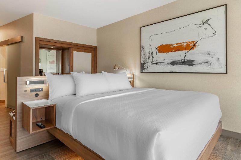 Cambria Hotel Richardson Dallas image