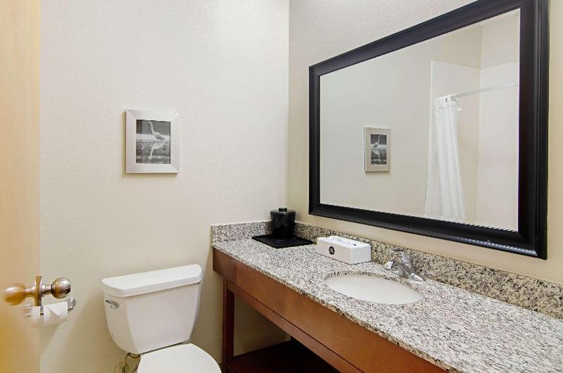 Quality Inn & Suites Near Tanger Outlet Mall image