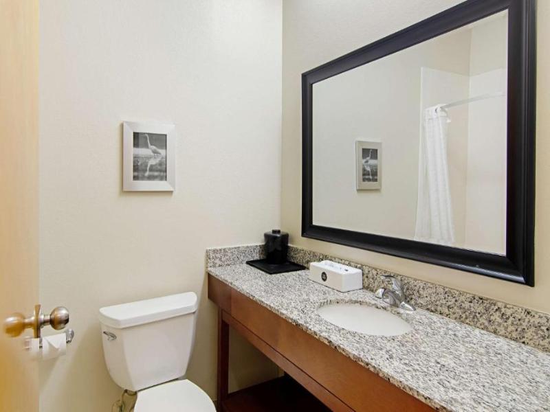 Quality Inn & Suites Near Tanger Outlet Mall image