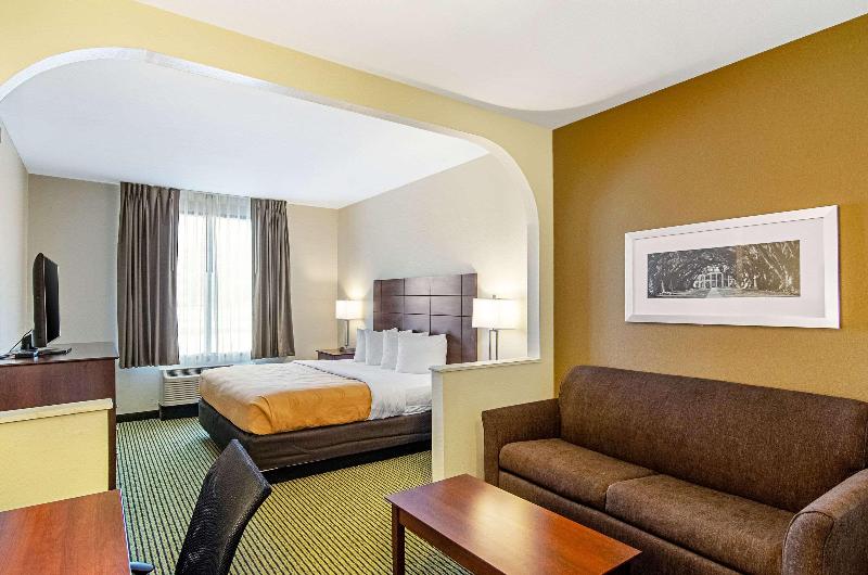 Quality Inn & Suites Near Tanger Outlet Mall image