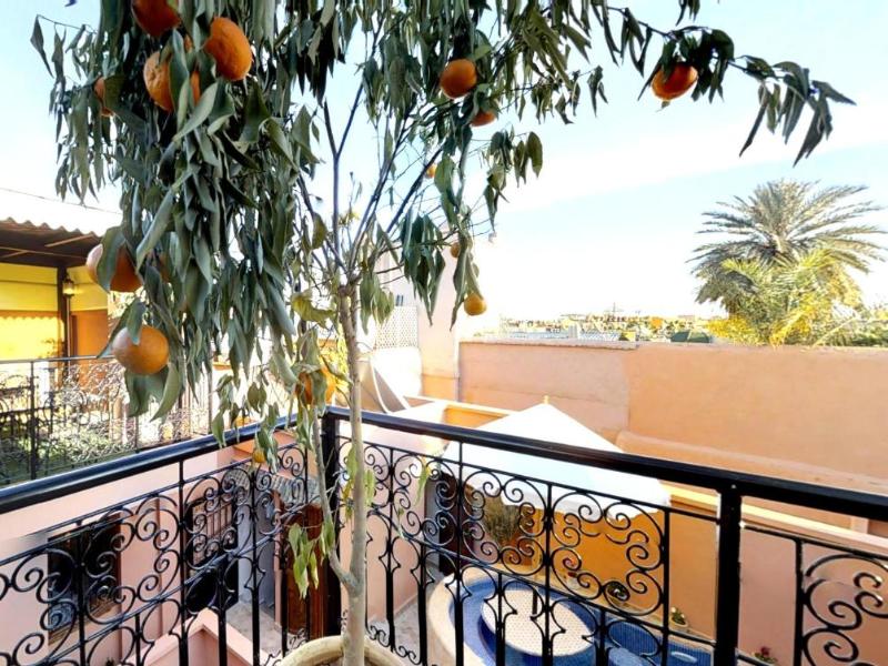 Riad SANIA BY GHALI 2  image