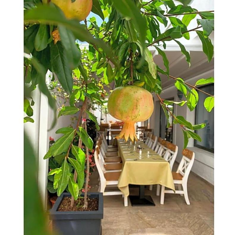 Casa Comana Boutique Hotel image