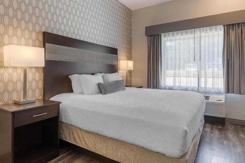 Best Western Plus Saint Peter image