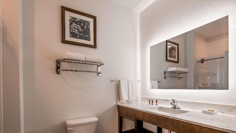 Best Western Plus New Richmond Inn & Suites image