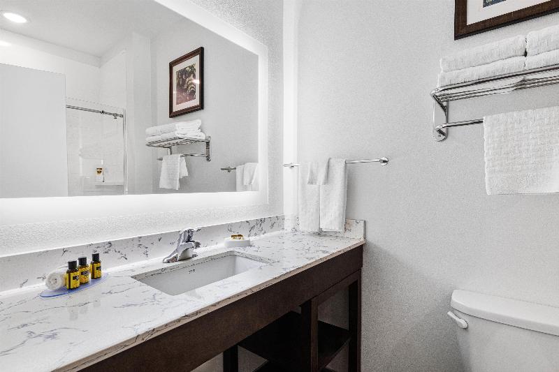 Best Western Plus New Richmond Inn & Suites image