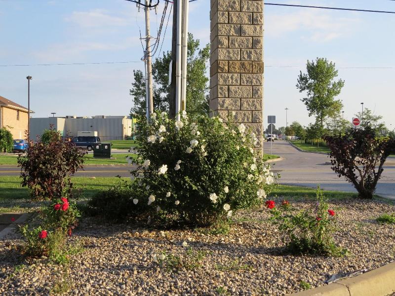 Lexington Inn Suites Windsor