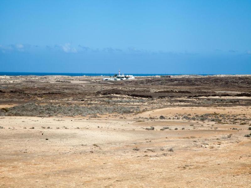 Tao Cotillo image
