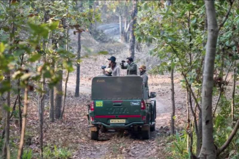 Baghvan A Taj Safari Pench National Park image