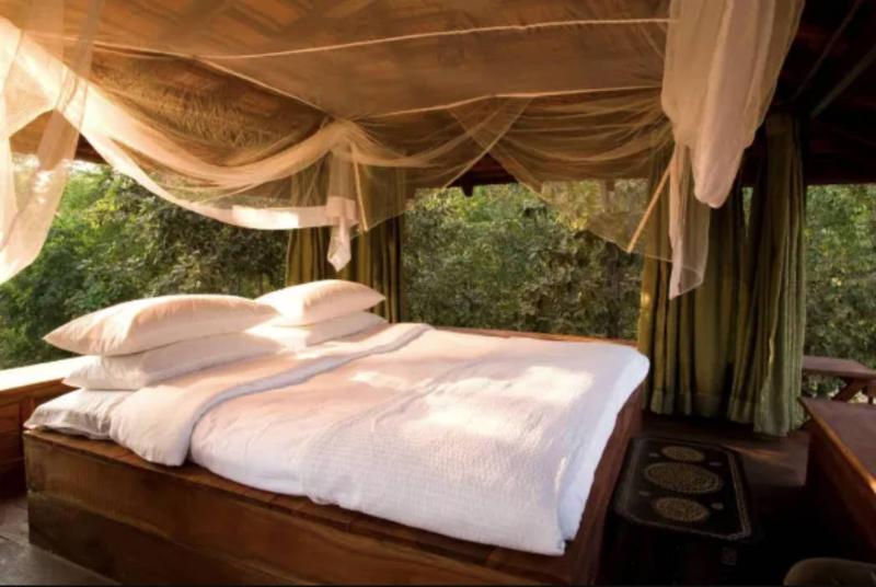 Baghvan A Taj Safari Pench National Park image