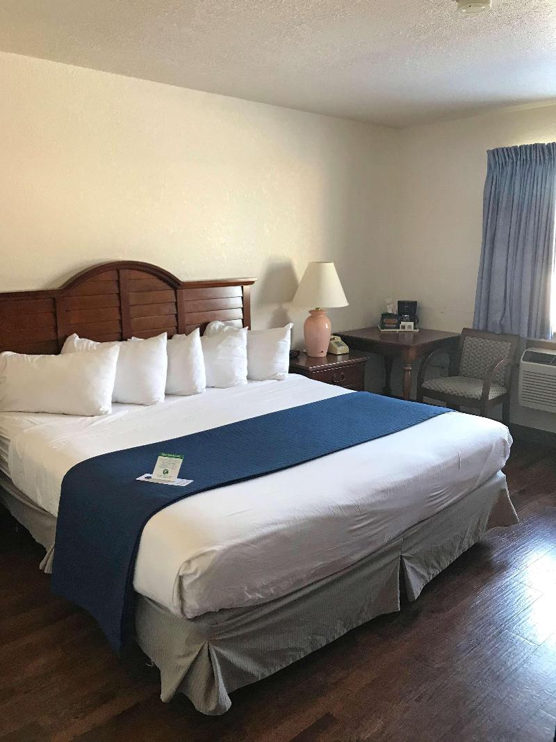 Baymont by Wyndham Sault Ste Marie MI 5