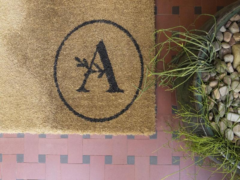 Alison Lodge image