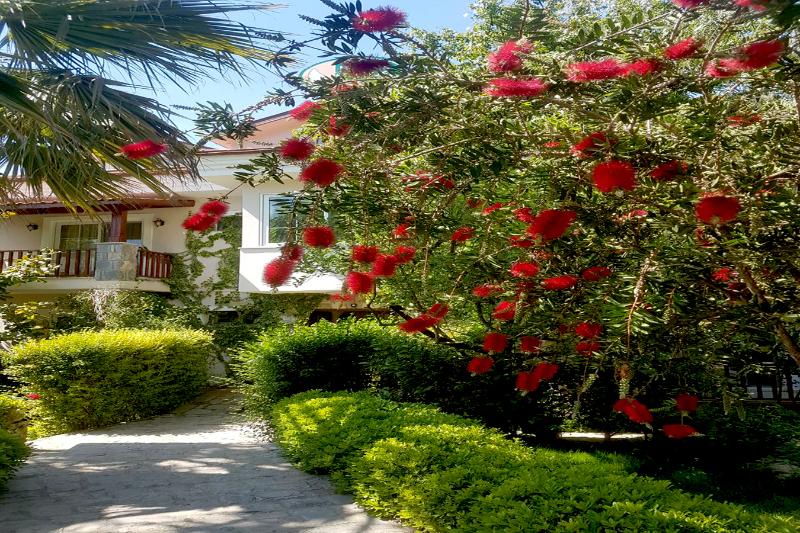 Hotel Dalos — main photo