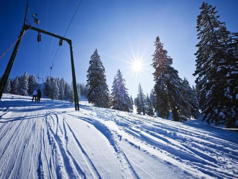 Carlina Belle Plagne image