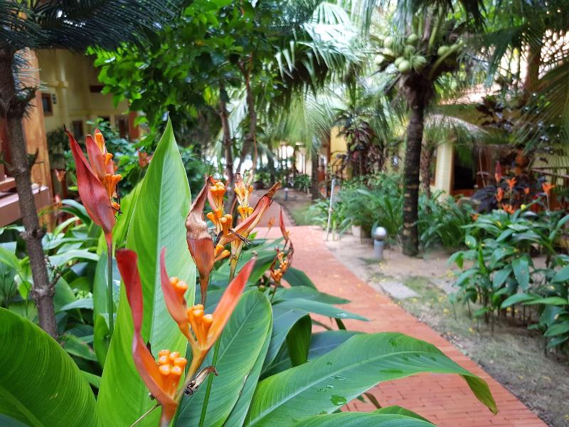 Freebeach Resort 