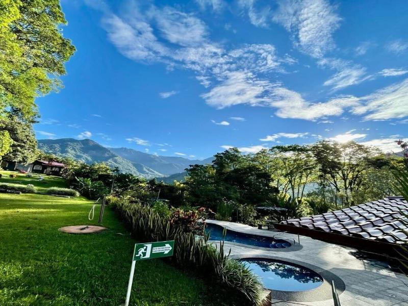 El Pelicano image
