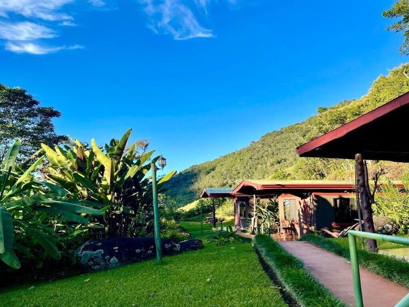 El Pelicano image