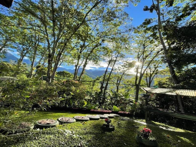El Pelicano image