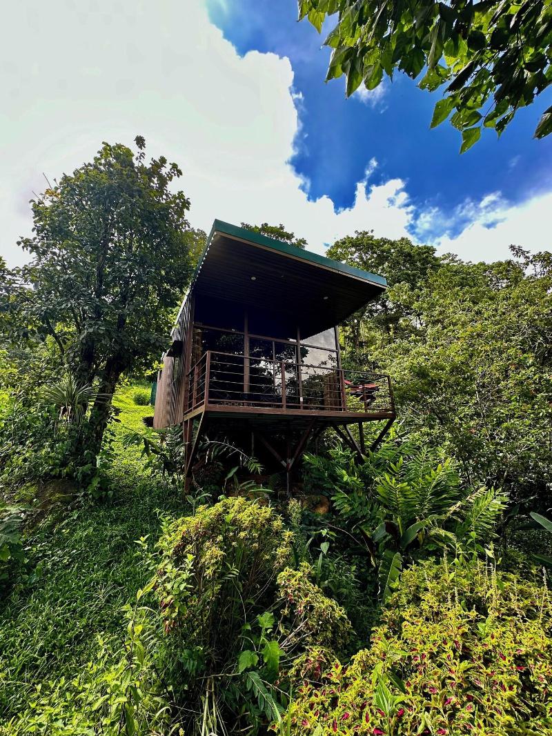 El Pelicano image