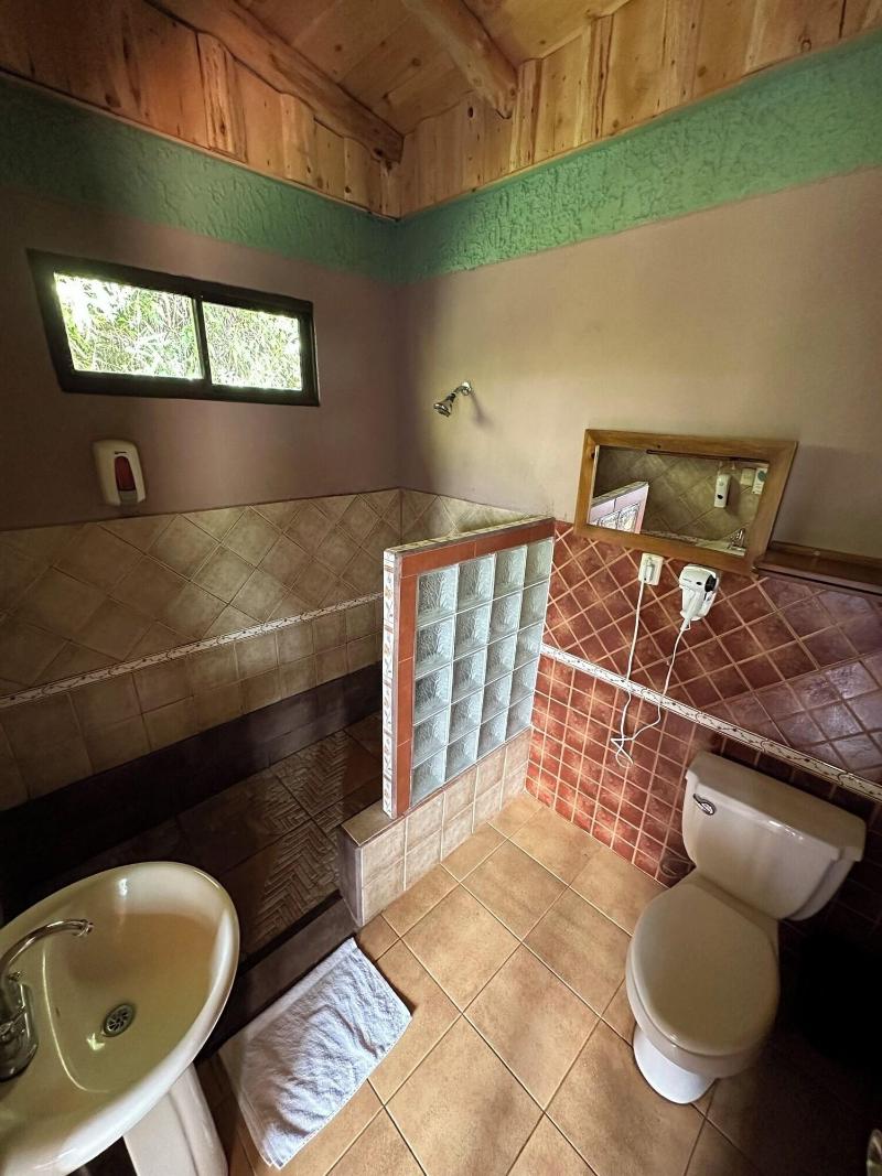 El Pelicano image