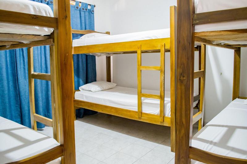 Hostal Ocean View image