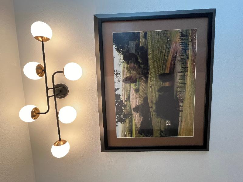 AmericasBestValueInn SuitesForest GroveHillsboro image